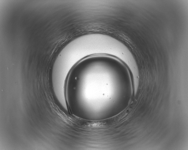 X0000060760365200512011520