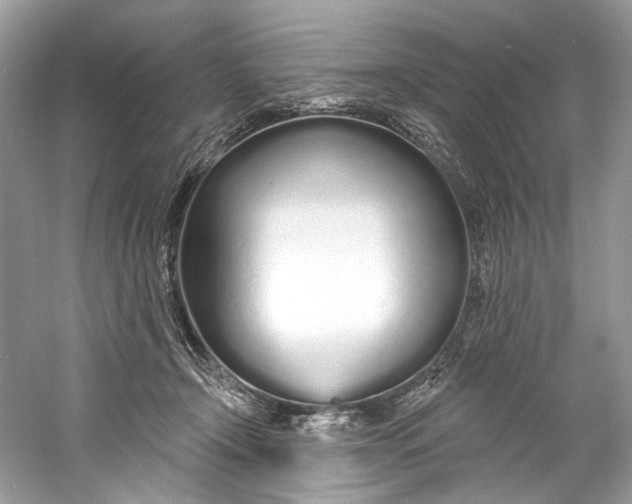 X0000060760366200512011520