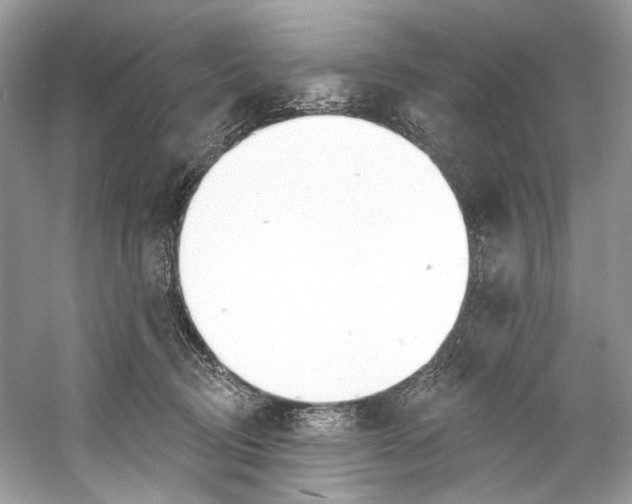 X0000060760370200512011520