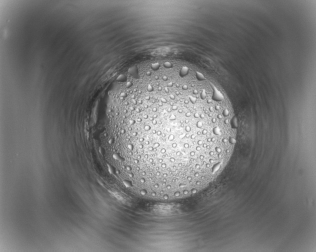 X0000060760375200512011520