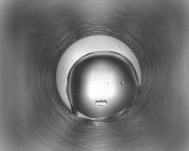 X0000060760376200512011520