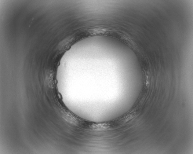 X0000060760378200512011520