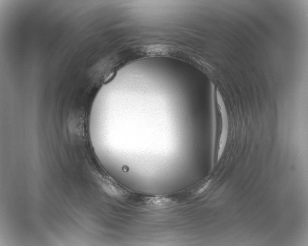 X0000060760379200512011520