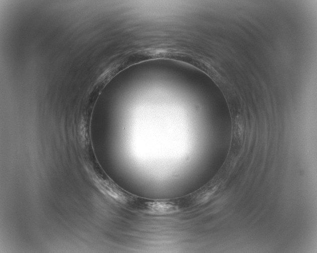 X0000060760380200512011520