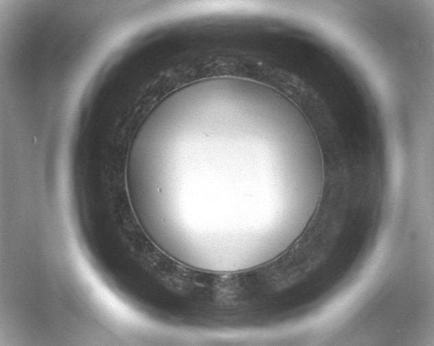 X0000060760382200512011520