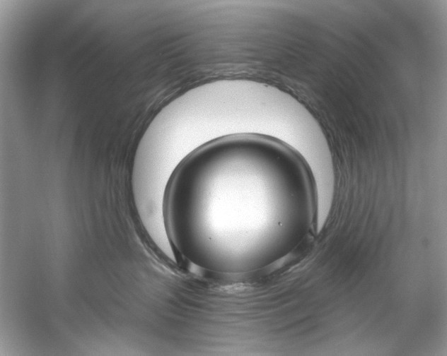 X0000060760383200512011520