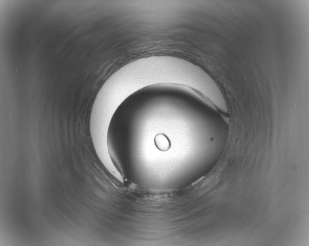 X0000060760384200512011520
