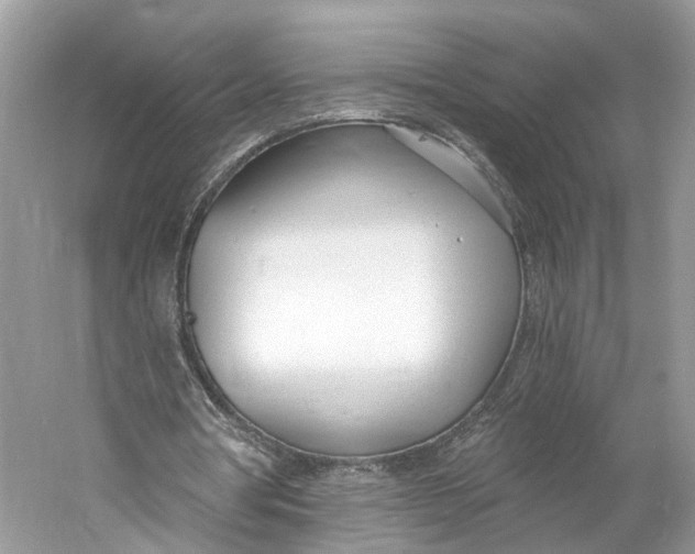 X0000060760386200512011519