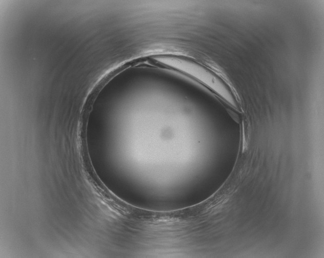X0000060760387200512011519