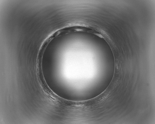 X0000060760388200512011519