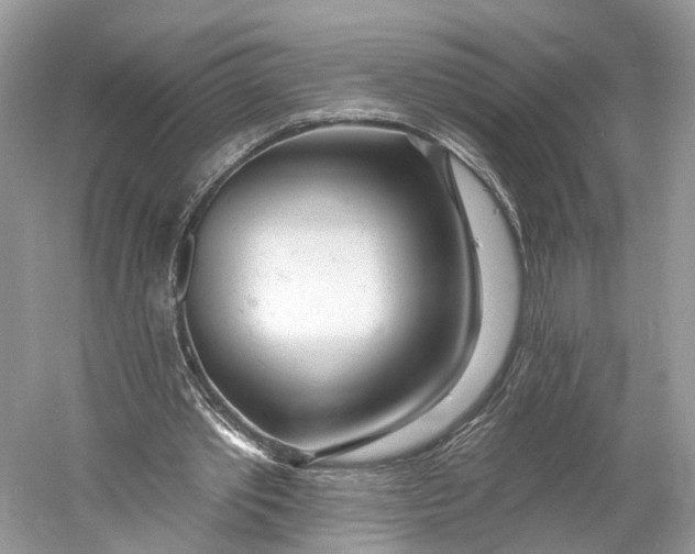 X0000060760389200512011519