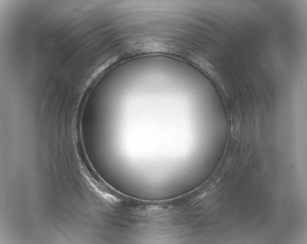 X0000060760390200512011519