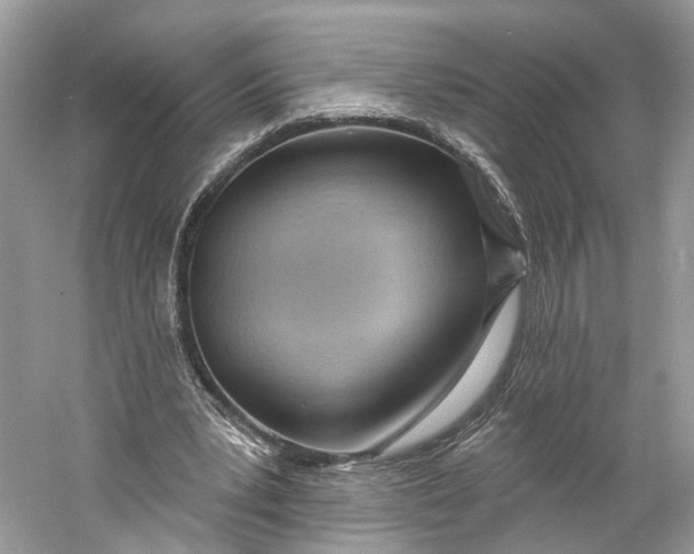 X0000060760391200512011519