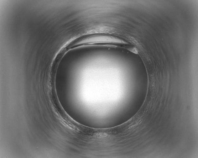 X0000060760392200512011519