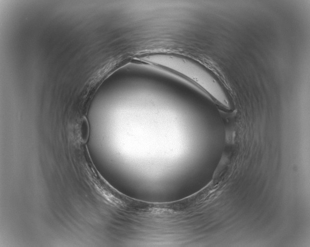 X0000060760393200512011519