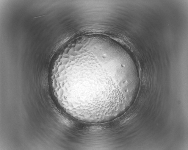 X0000060760394200512011519