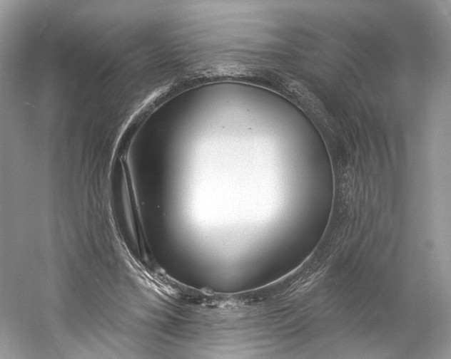X0000060760395200512011519