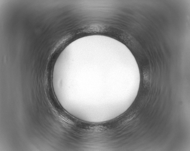 X0000060760396200512011519