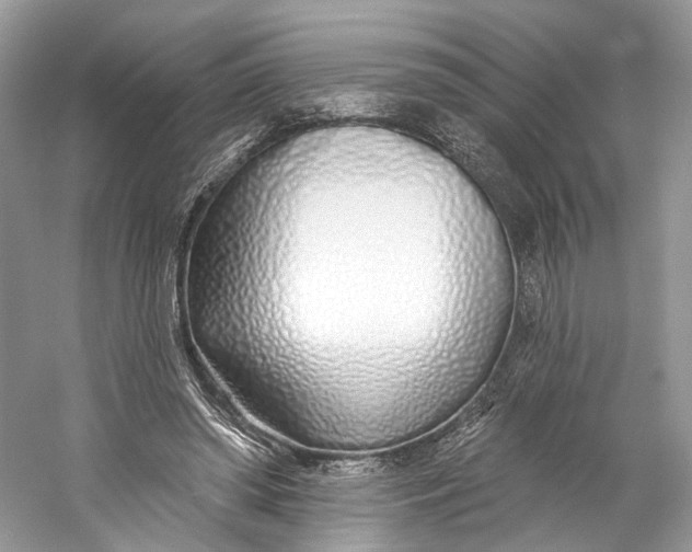 X0000060760398200512011519