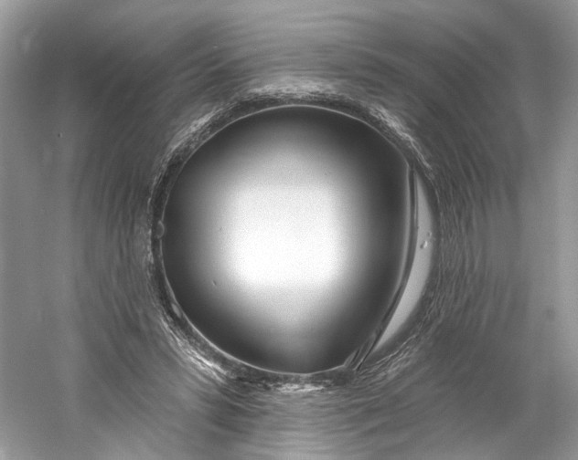 X0000060760399200512011519
