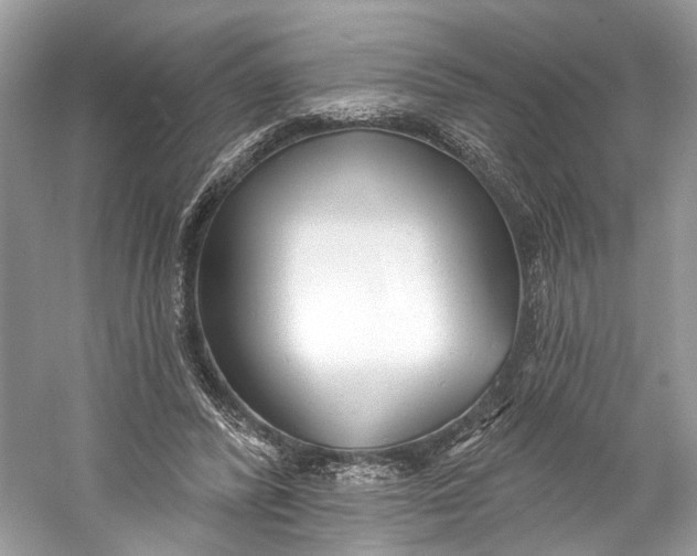 X0000060760400200512011519