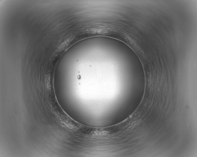 X0000060760403200512011519