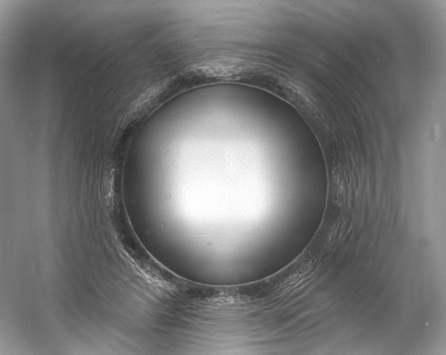 X0000060760404200512011519