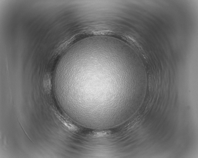 X0000060760405200512011519