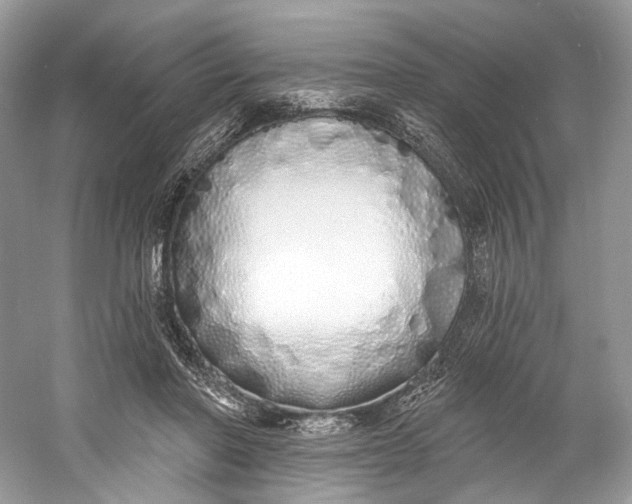 X0000060760406200512011519