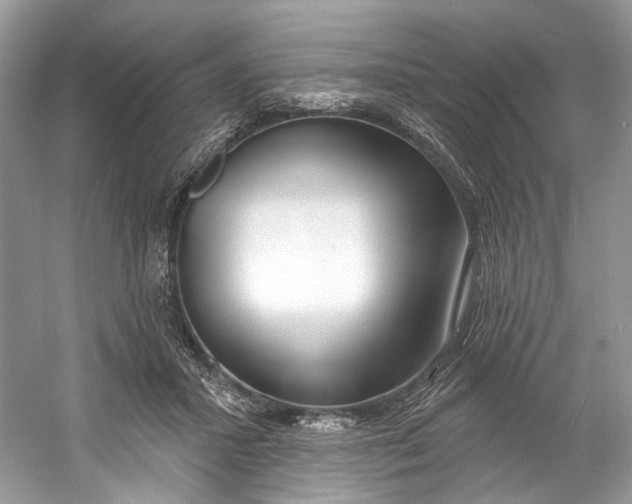 X0000060760407200512011519