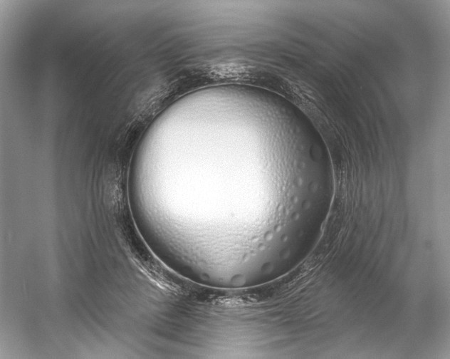 X0000060760408200512011519