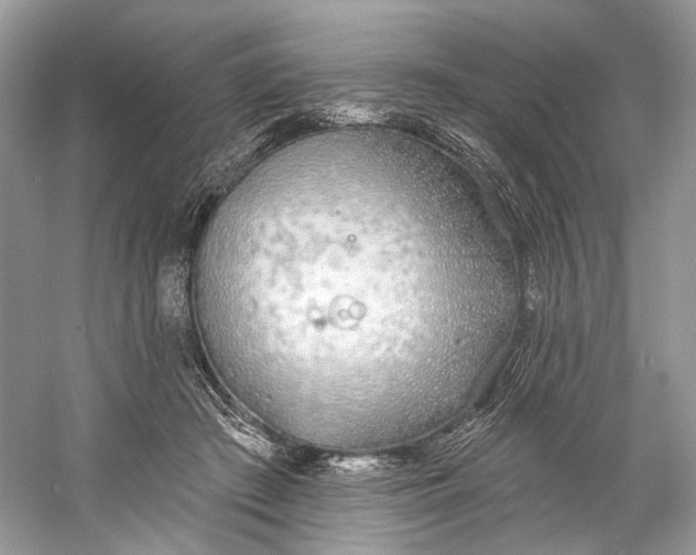 X0000060760409200512011519