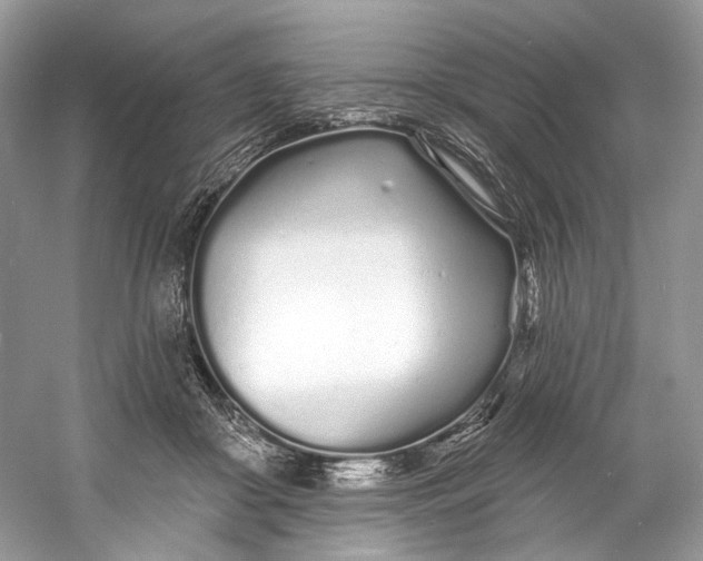 X0000060760410200512011519