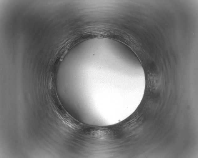 X0000060760412200512011519
