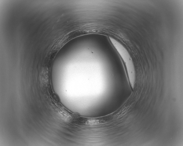 X0000060760413200512011519