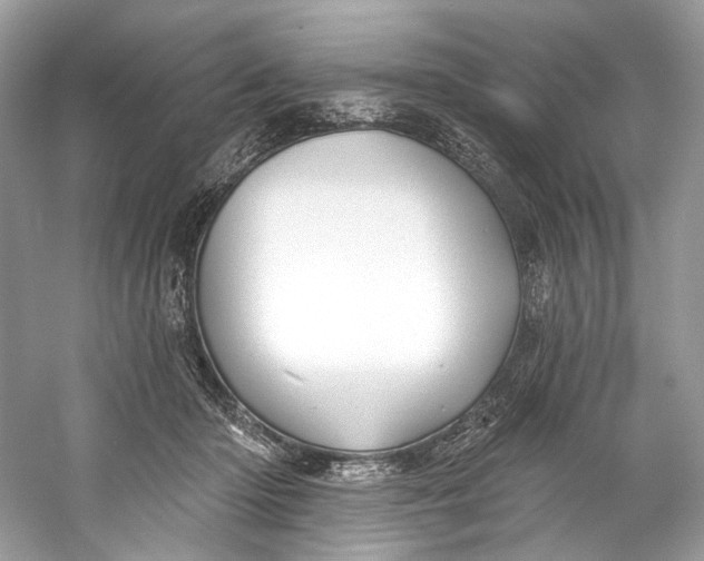 X0000060760414200512011519