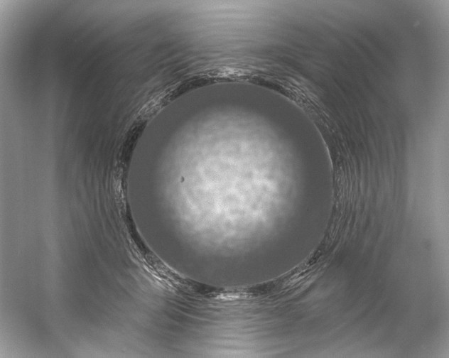 X0000060760415200512011519