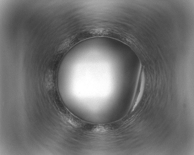 X0000060760416200512011519