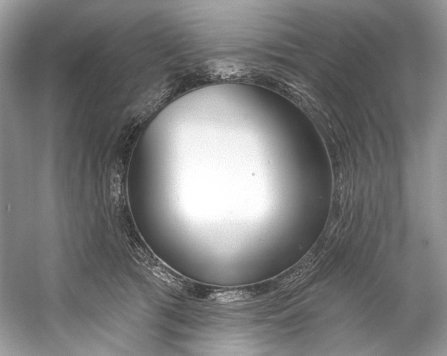 X0000060760417200512011519
