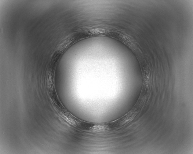 X0000060760418200512011519