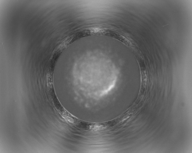 X0000060760419200512011519