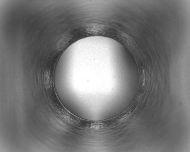 X0000060760420200512011519