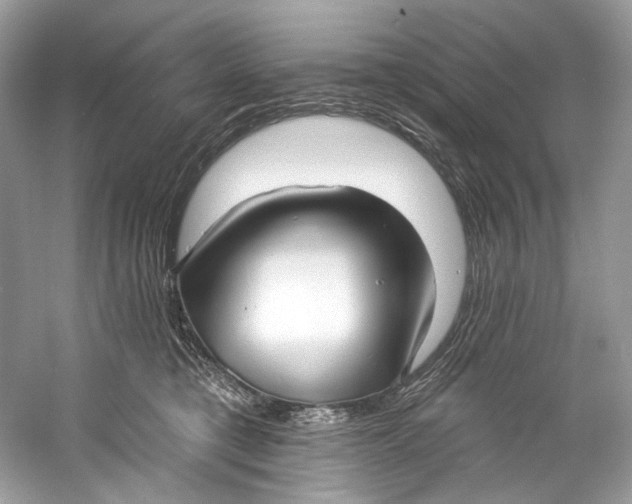 X0000060760421200512011519