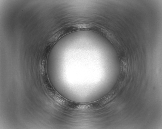 X0000060760422200512011519