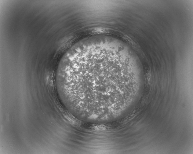 X0000060760423200512011519