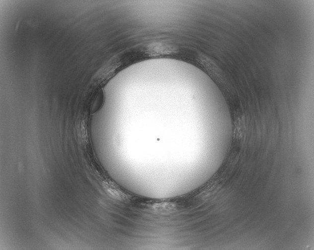 X0000060760426200512011519