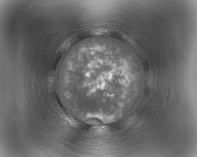 X0000060760427200512011519