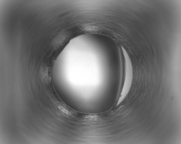 X0000060760428200512011519