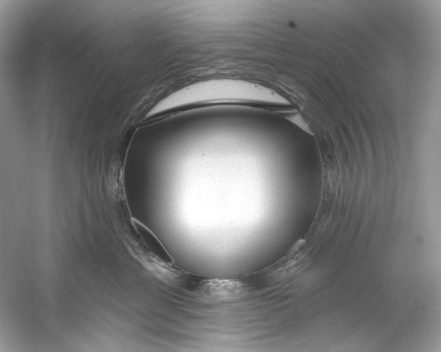 X0000060760429200512011519