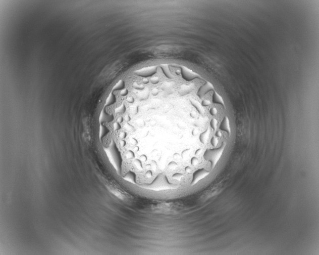 X0000060760430200512011519